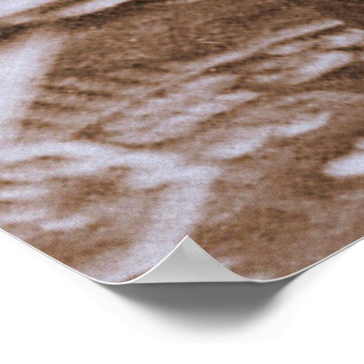 1870年頃のソジャーナー真理のポートレート ポスター (角)