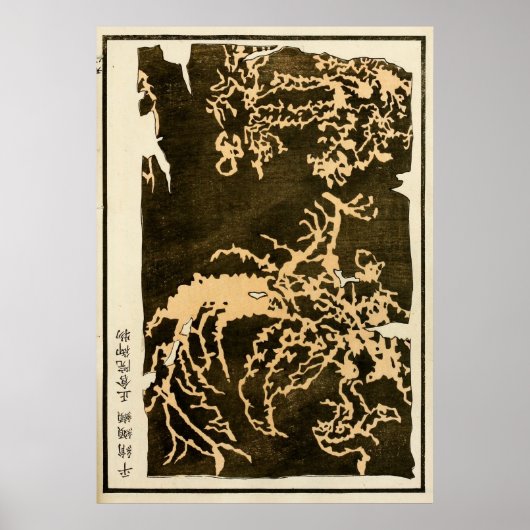 1871年中国清朝伝統芸術 ポスター (正面)