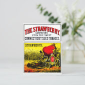 1874年 ストロベリー シガー ポストカード (スタンド正面)