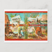 1875年頃のカリフォルニアの夏と冬のリゾート ポストカード (正面)