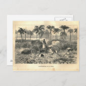 1877プリントキューバ領アンティル諸島、地球とその民族 ポストカード (正面/裏面)