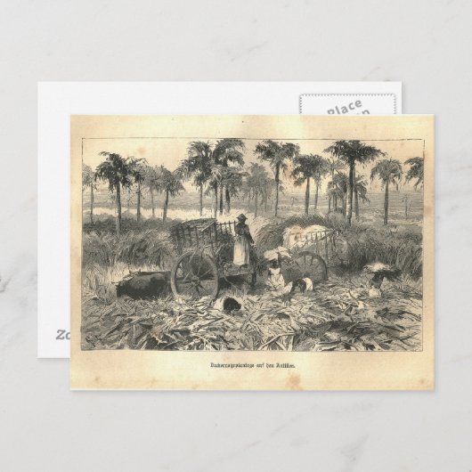 1877プリントキューバ領アンティル諸島、地球とその民族 ポストカード (正面/裏面)