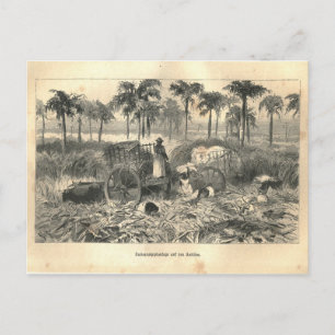 1877プリントキューバ領アンティル諸島、地球とその民族 ポストカード