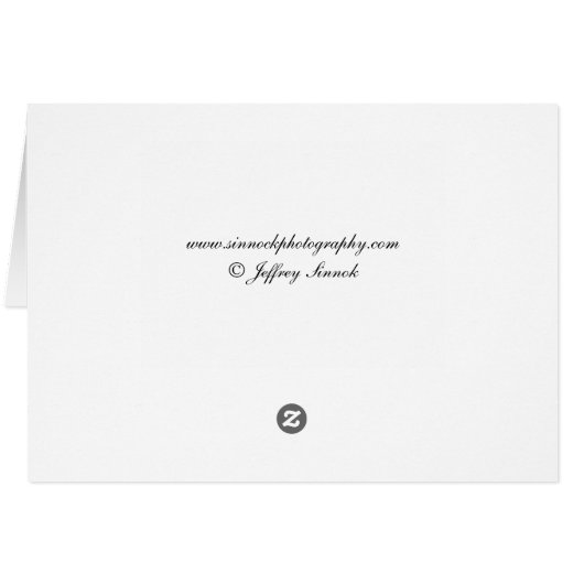 1877年からの結婚式の証明書 (裏面横)