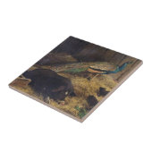 1878年にチャールズBurton理容師によるブタそして孔雀 タイル (側面)