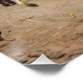 1878年頃の馬のパック ポスター (コーナー)