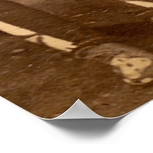 1879クロウインディアンの首長ファーゴダコタ州 ポスター (角)