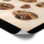 1879ヴィンテージブロック解剖学プリントハート筋肉 ポスター (角)