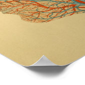 1879ヴィンテージ解剖学プリント頭動脈静脈 ポスター (角)