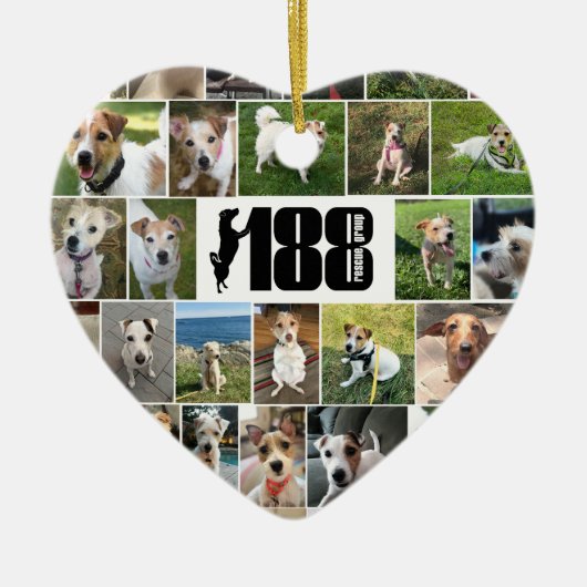 188レスキュー・グループの両面ハートオーナメント セラミックオーナメント (正面)