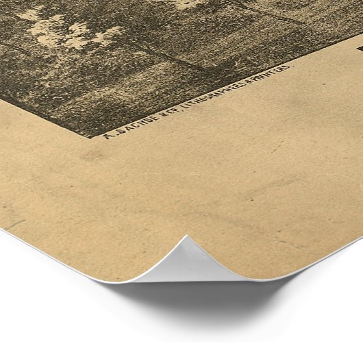 1880ボルチモア、MDバードズアイビューパノラママップ ポスター (角)