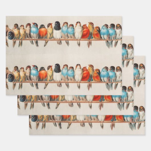 1880年ヘクトール・ジャコメリによる鳥の群れ ラッピングペーパーシート (セット)