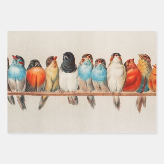 1880年ヘクトール・ジャコメリによる鳥の群れ ラッピングペーパーシート (正面)