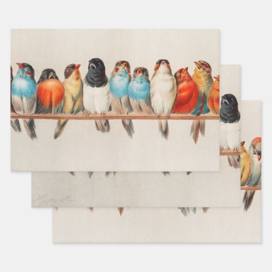 1880年ヘクトール・ジャコメリによる鳥の群れ ラッピングペーパーシート (セット)