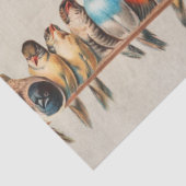 1880年ヘクトール・ジャコメリによる鳥の群れ 薄葉紙 (詳細)