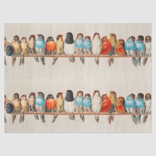 1880年ヘクトール・ジャコメリによる鳥の群れ 薄葉紙 (正面)