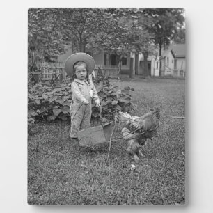 1880年代の愛らしい少女とオンドリのカートinガーデン フォトプラーク