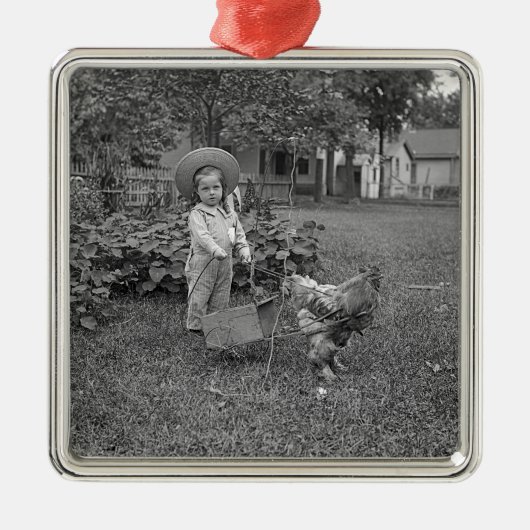 1880年代の愛らしい少女とオンドリのカートinガーデン メタルオーナメント (正面)