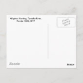 〒1880-1897フロリダ州トモカ川アリゲーター狩り ポストカード (裏面)