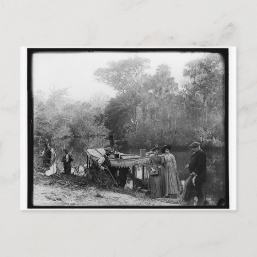 〒1880-1897フロリダ州トモカ川アリゲーター狩り ポストカード (正面)