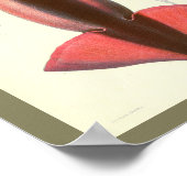 1881ヴィンテージカラーイカプリント ポスター (角)