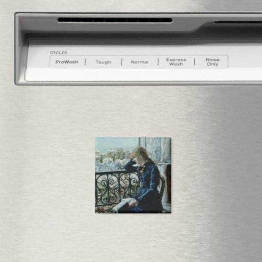 1881年、窓で マグネット (インサイチュ (食洗機))