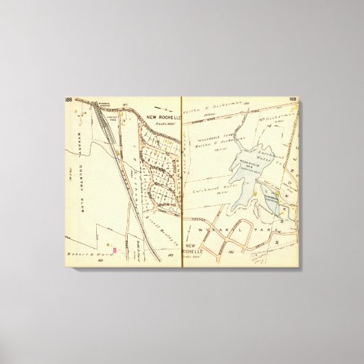 188189ニューロシェル キャンバスプリント (正面)