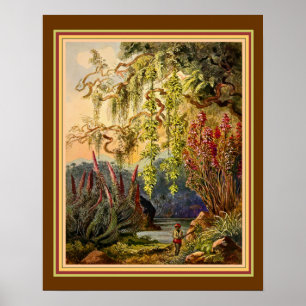 1882ぶら下がった年『スリランカの竹』 Haeckel ca. ポスター