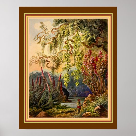 1882ぶら下がった年『スリランカの竹』 Haeckel ca. ポスター (正面)