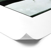 1884トルネード ポスター (角)