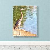 1884 – ブ素晴らしルーヘロン キャンバスプリント (インサイチュ (ウッドフロア))