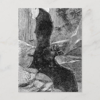 1885バンパイアこうもりイラストレーション ポストカード