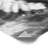 1885年の座る牛とバッファロービルポートレート ポスター (角)