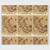 1885年 カリフォルニアのユニークな復元地図 ラッピングペーパー (フラット)