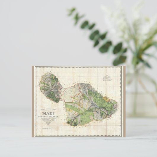 1885 De Witt Alexander Map of Maui，ハワイ ポストカード (スタンド正面)