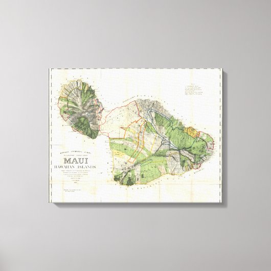 1885 De Witt Alexander Wall Map of Maui，ハワイ キャンバスプリント (正面)