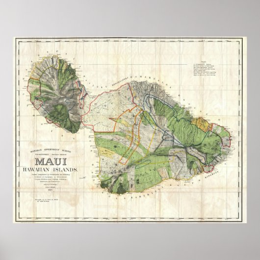 1885 De Witt Alexander Wall Map of Maui，ハワイ ポスター (正面)