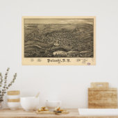 1885 Pulaski, NY Birds Eye View Panoramic Map ポスター (キッチン)