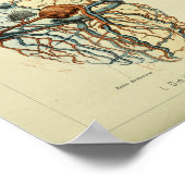 1886ヴィンテージヒトハート解剖学プリント ポスター (角)