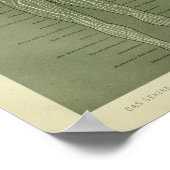 1886ヴィンテージヒト神経解剖学プリント ポスター (角)