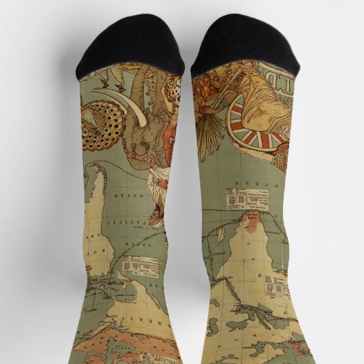 1886年世界地図 アンティーク イラスト ソックス (上部)