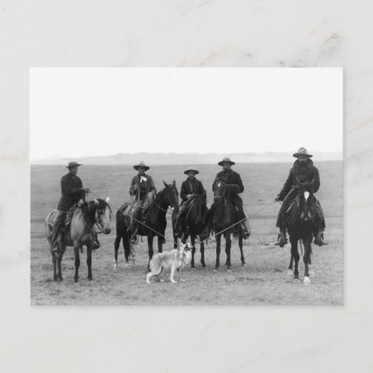 1887年のグレオウルフの群れ ポストカード (正面)