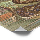 1889年アフリカのジャングルのヘビ ポスター (角)