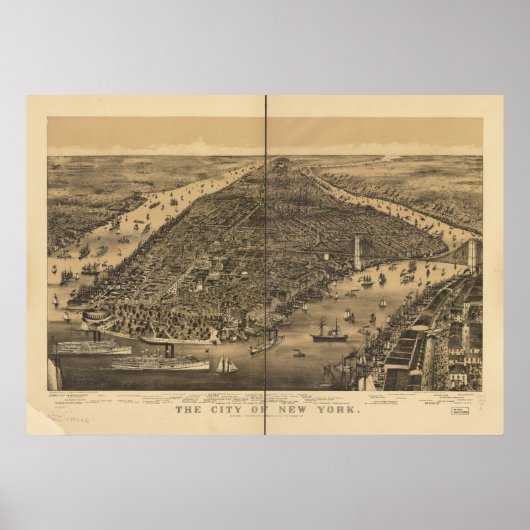 1889 New York City NY Bird's eye viewパノラママップ ポスター (正面)