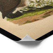 1890バードガチョウプリント ポスター (角)