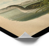 1890バードプリントルーン ポスター (角)