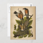 1890バードロビン葉書 ポストカード (正面/裏面)