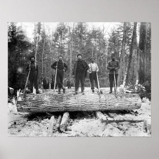 1890年の伐採夫の肖像。ヴィンテージ写真 ポスター (正面)