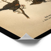 1890年の鳥のプリント赤翼黒鳥 ポスター (角)