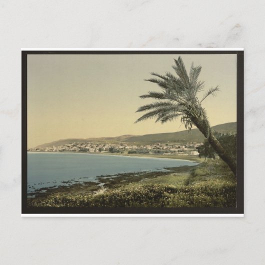 1890年代のハイファ ポストカード (正面)